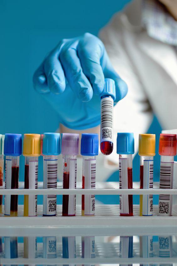 Laboratorio